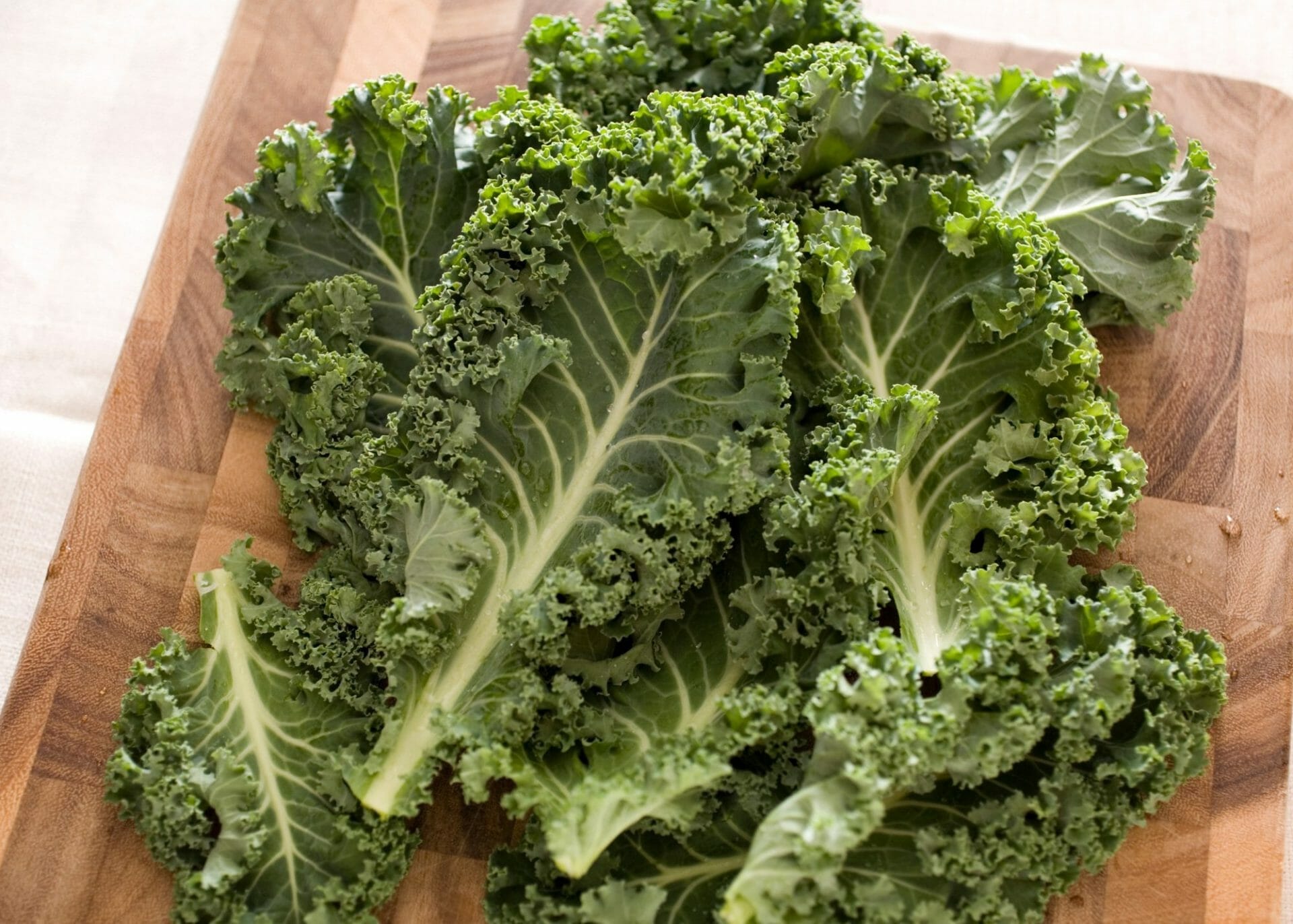 Identify Different Types of Kale Memory Morsels