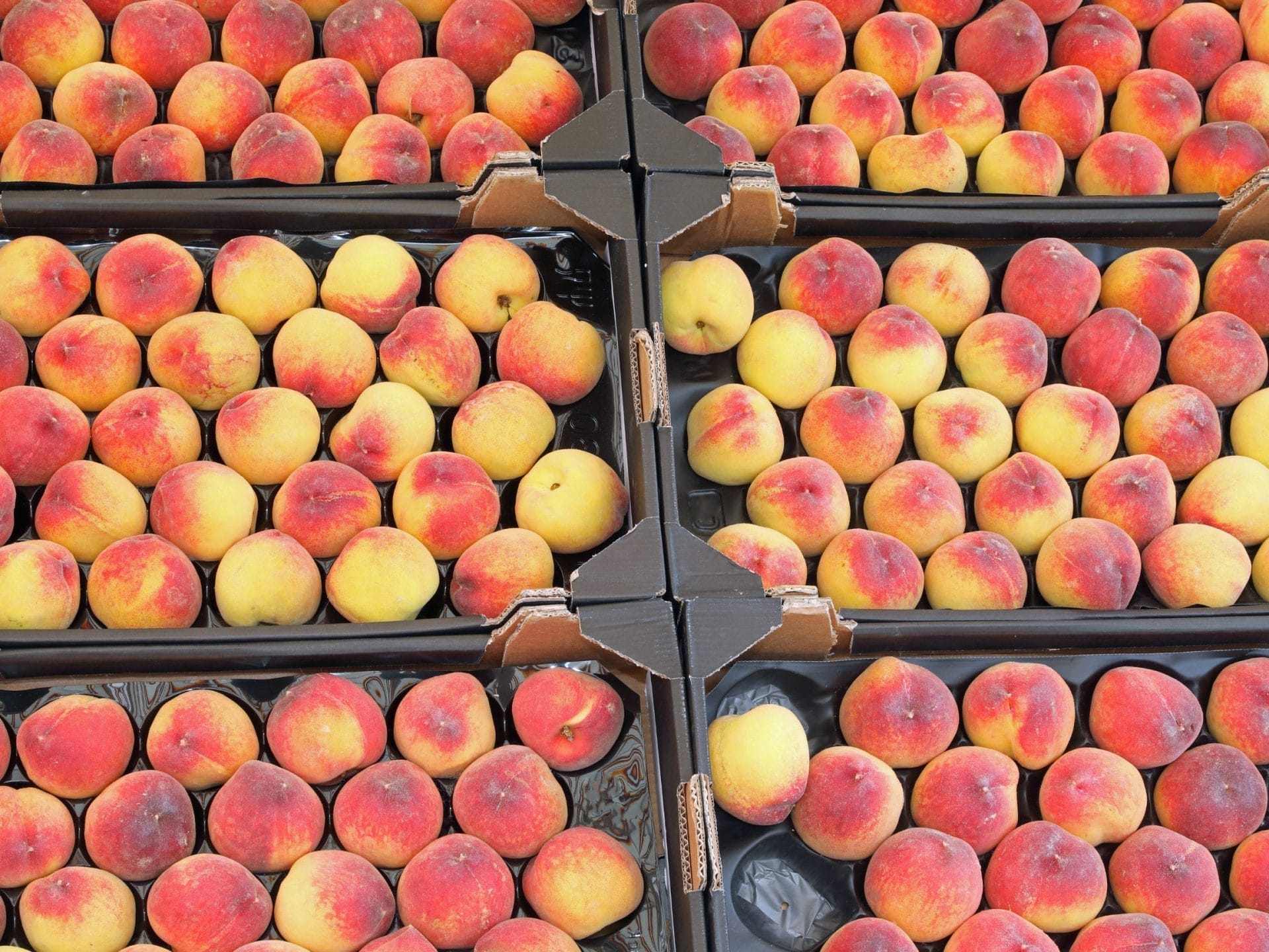 How to Store Peaches